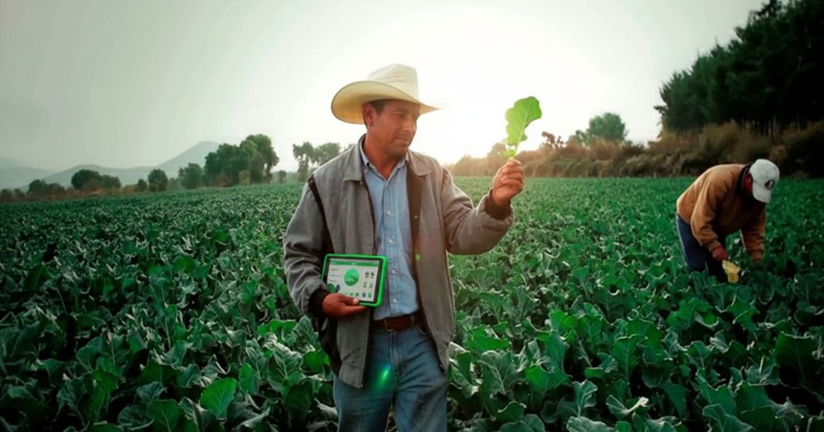 Jóvenes Emprendedores